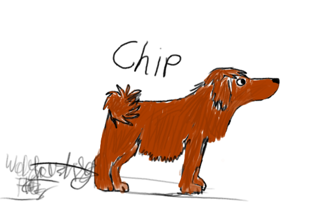 Meet Chip!