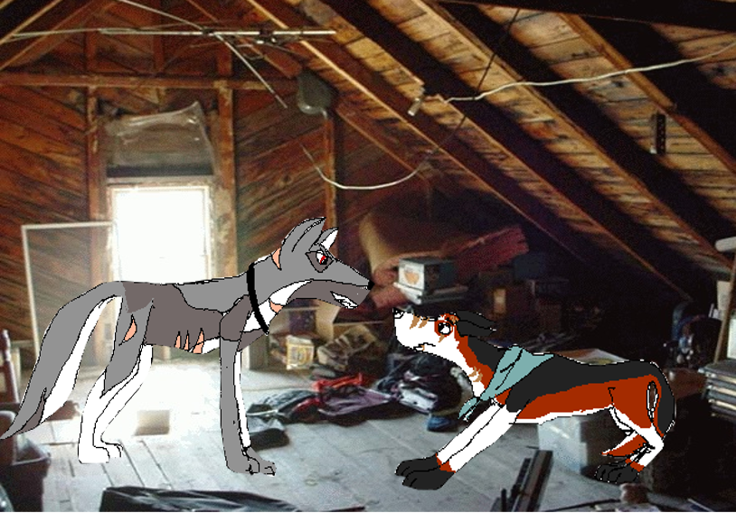 Rayni and Anthrax (Video Draw)