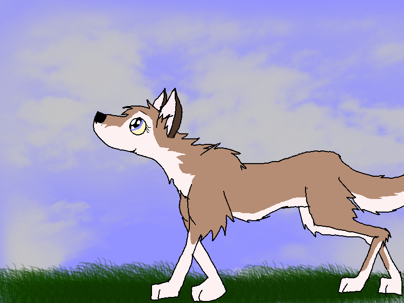 Aleu