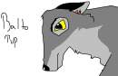balto?