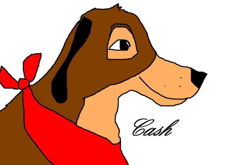 Cash