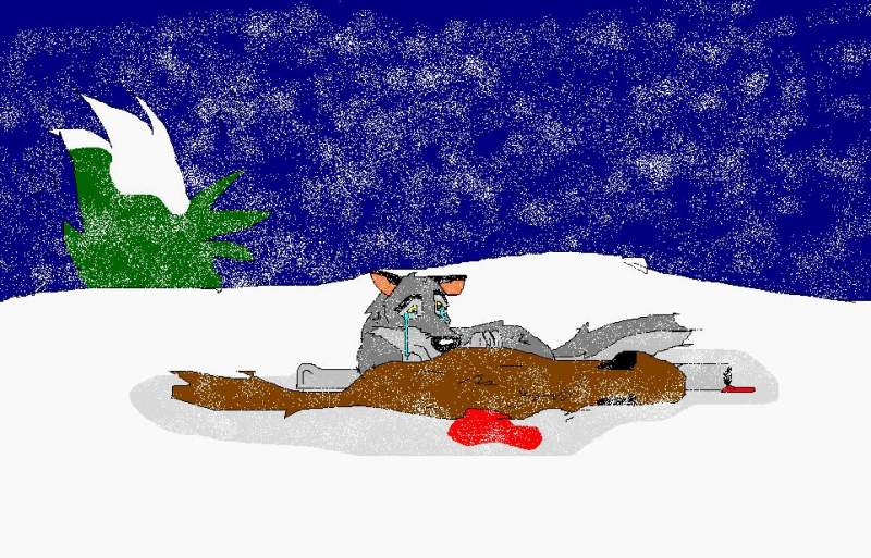BALTO