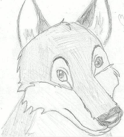 BALTO SCAN