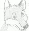 BALTO SCAN