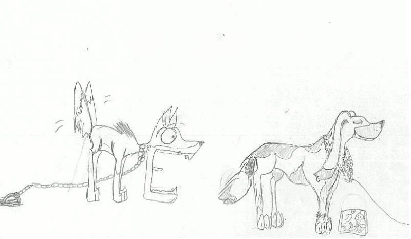 Funny dogs