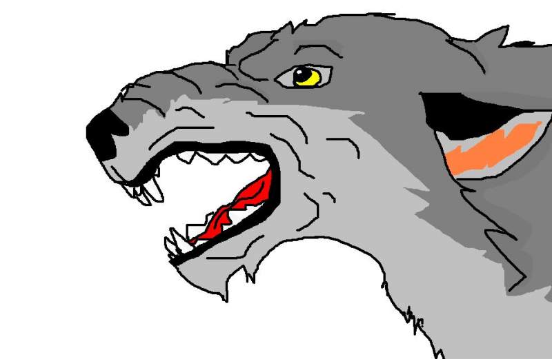 Mad Balto