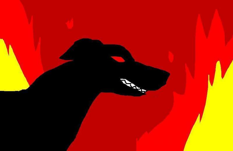 My mad dog