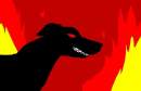 My mad dog