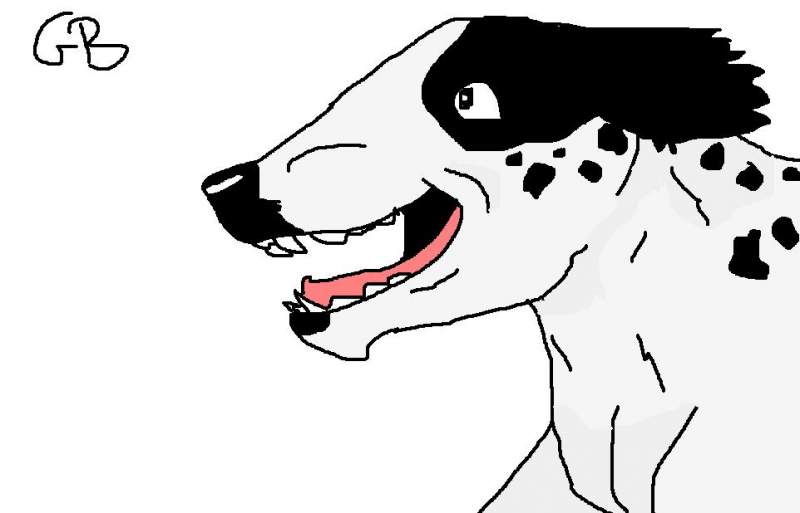 GB PUP