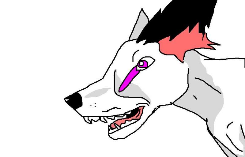 TO WOLFLION