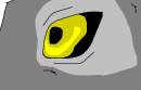 Balto Eye