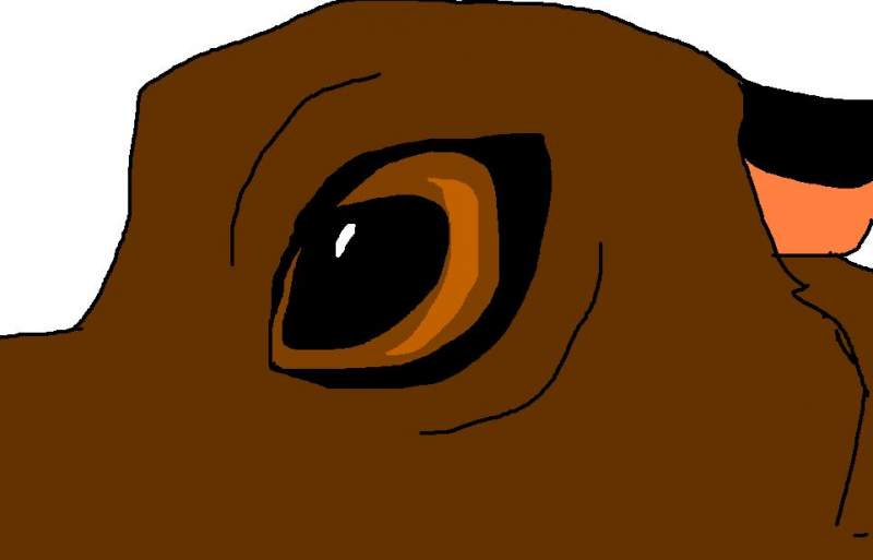 Wolfinden Eye