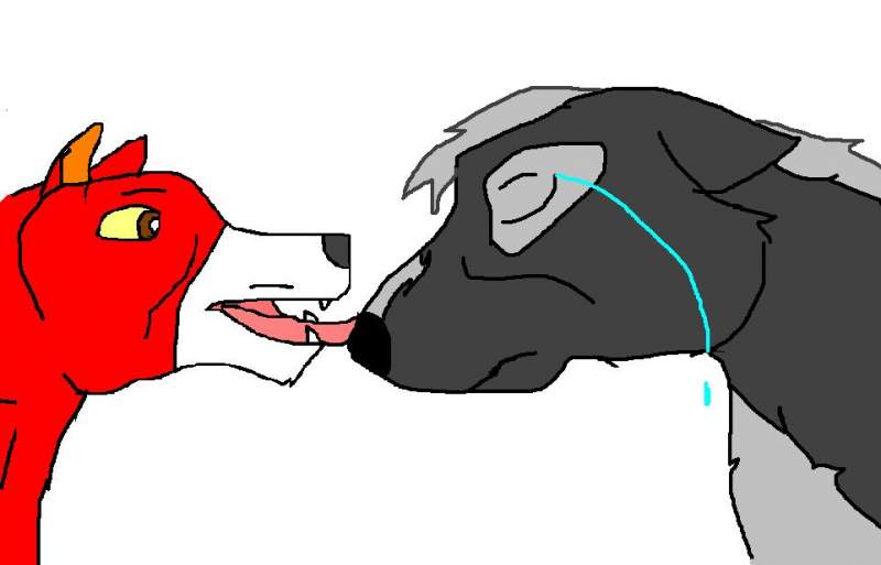 To CATWHOHAS14TAILS and DRACO