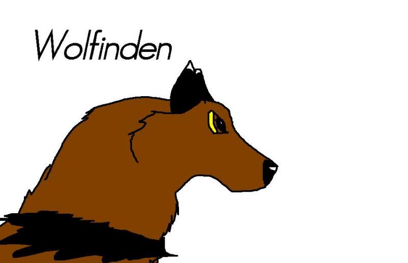 wolfinden