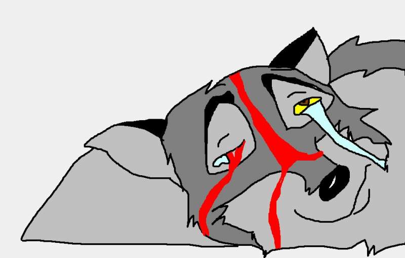 Balto before he died