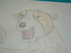 A ginga dog