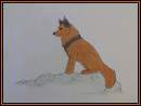 Wolfinden