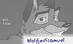 wolfjedisamuel