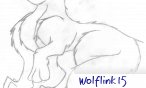 wolflink15