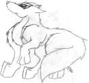 The White Wolf