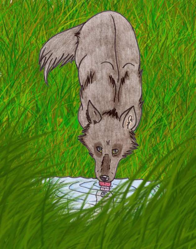 another realistic wolf