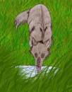 another realistic wolf