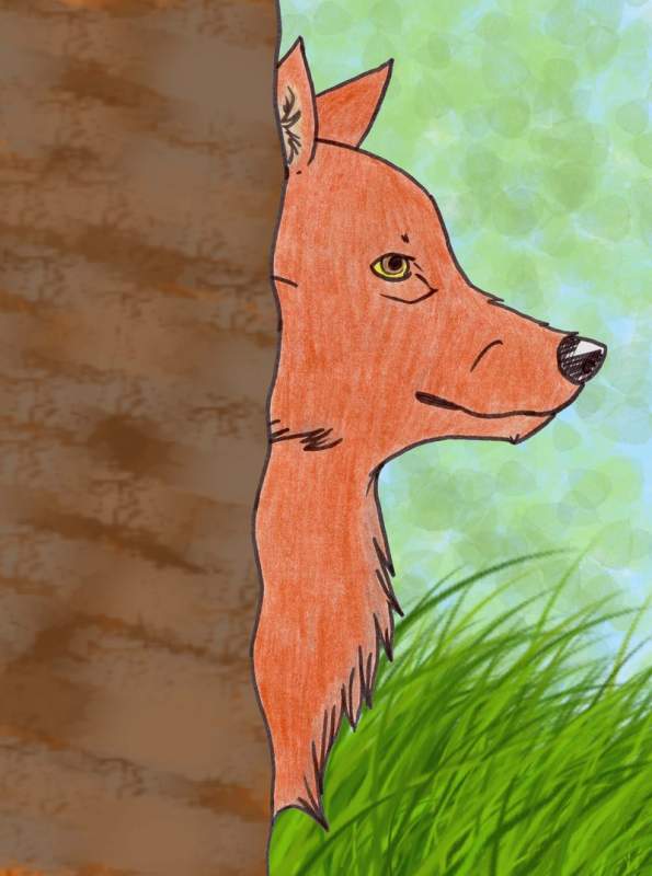 Red Wolf-Roter Wolf