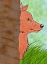 Red Wolf-Roter Wolf