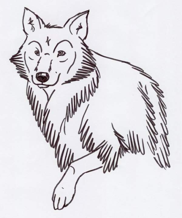sketch