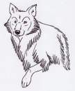 sketch