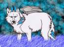 HAPPY BIRTHDAY TAKAI KITSUNE