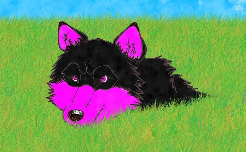 Night Shade for Wolf girl