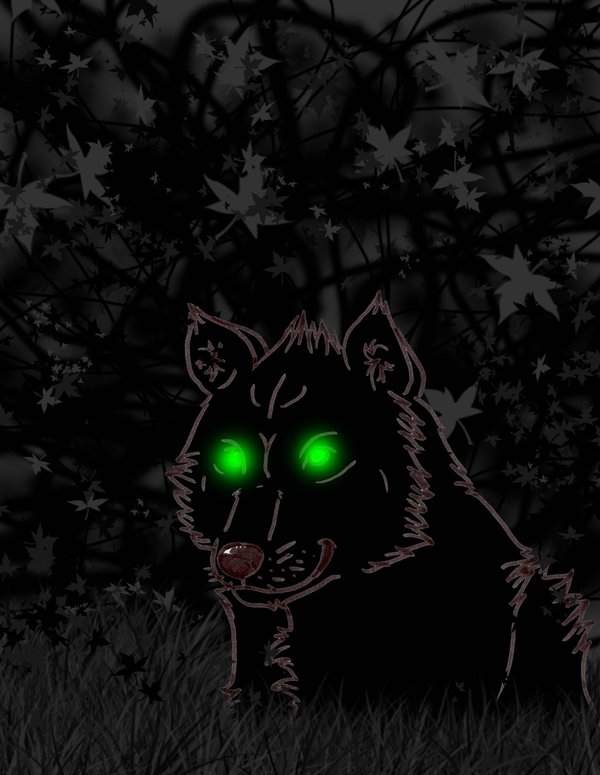EVIL WOLF