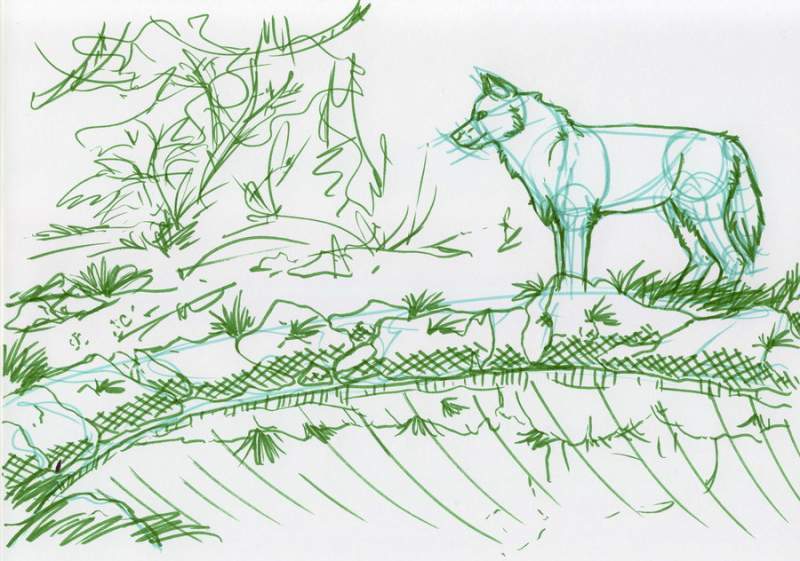 Sketch