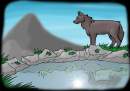 Wolf-Homeland?
