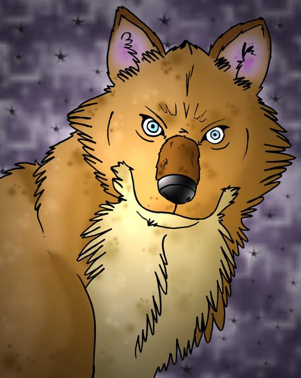 HAPPY BIRTHDAY LONEWOLFDRAWER