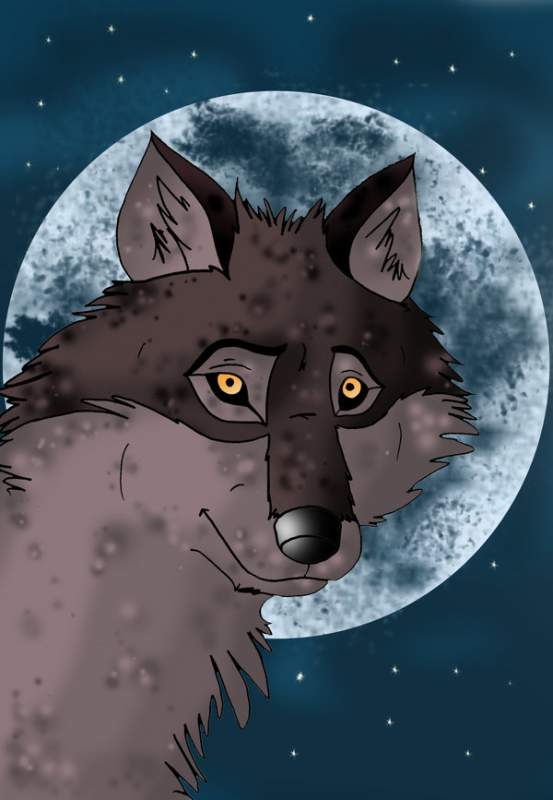 Balto World
