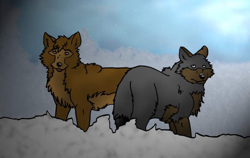 Request for Xwolf