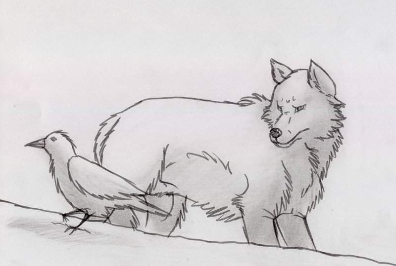 Wolf and Raven