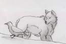 Wolf and Raven