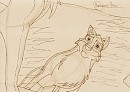 Balto