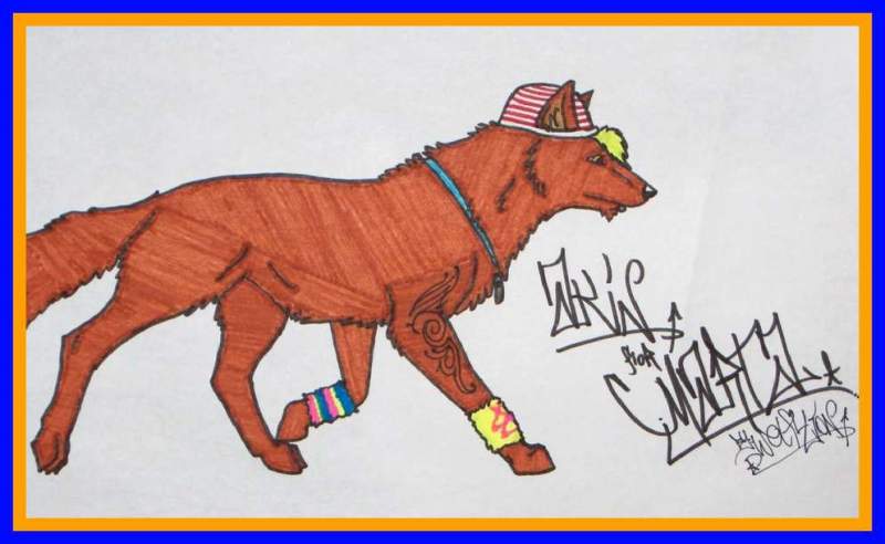CooL WolF