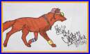 CooL WolF