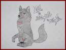Xwolf