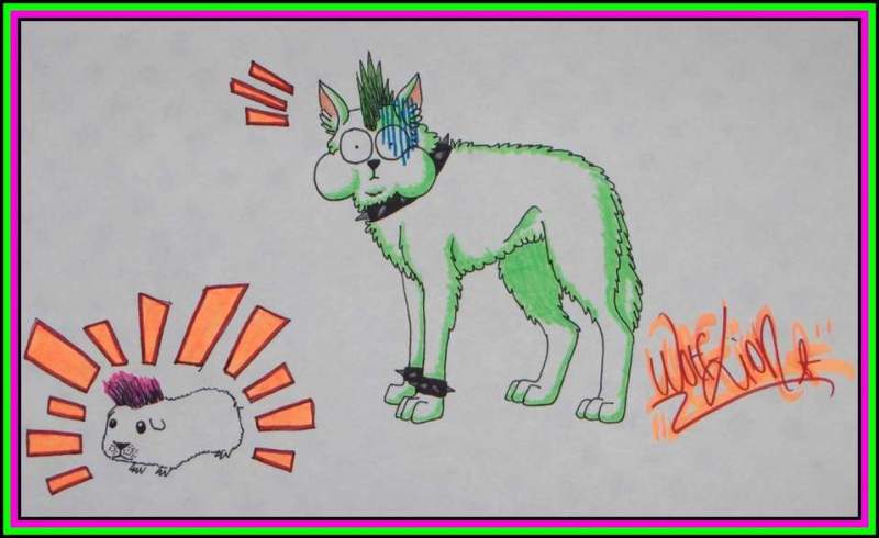 PUNK WOLF and GUINEA PIG