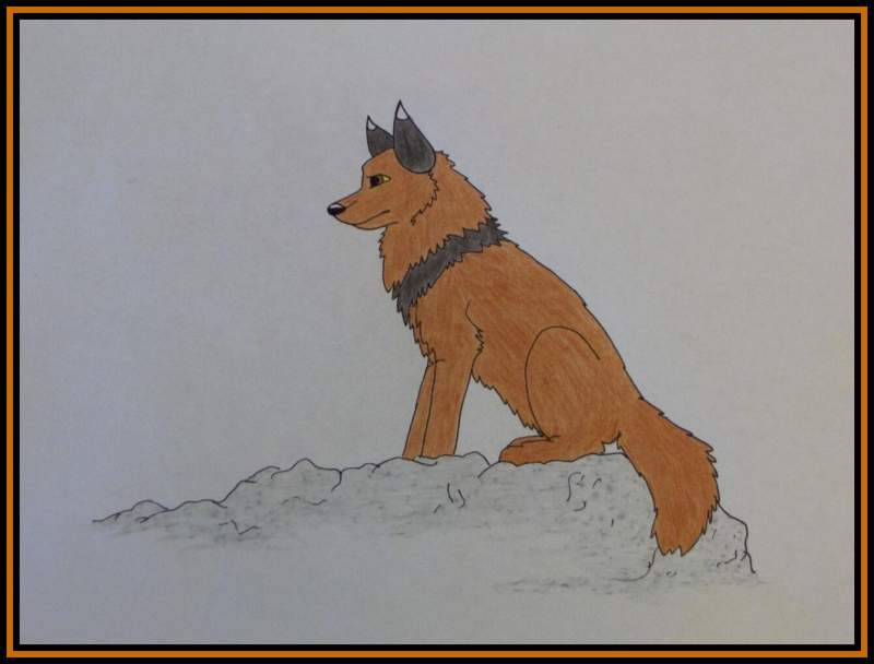 WOLFINDEN