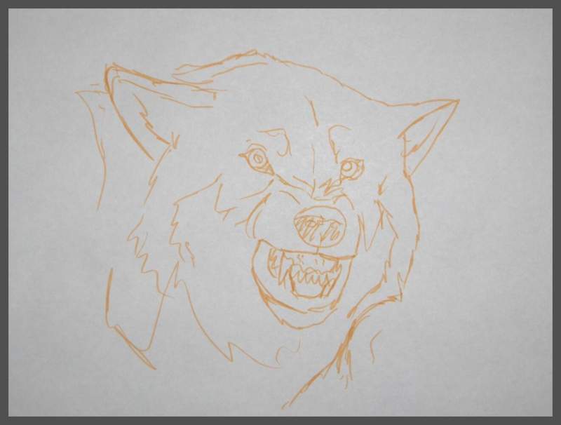 angry wolf