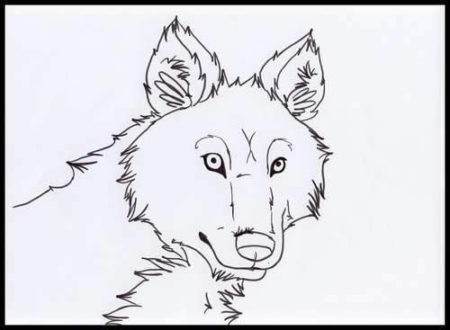 Art trade with PUPPY.