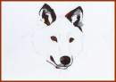 For PUPPY!!!!