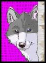 HAPPY BIRTHDAY wolf_fang30